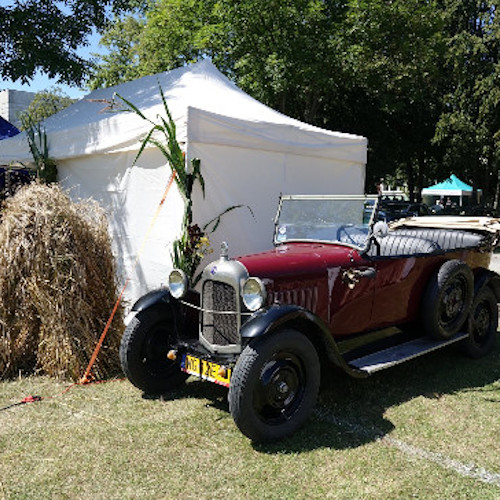 Relacja z Festiwalu Etnograficznego